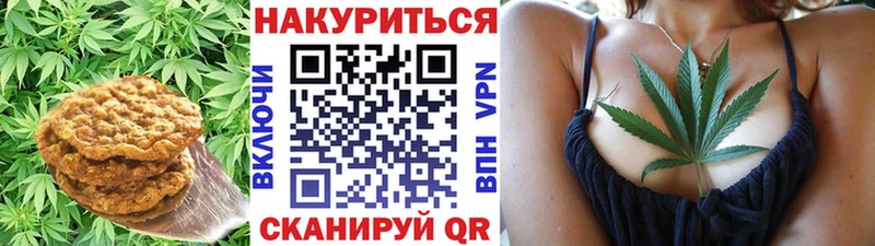 магазин    Сретенск  Canna-Cookies конопля 