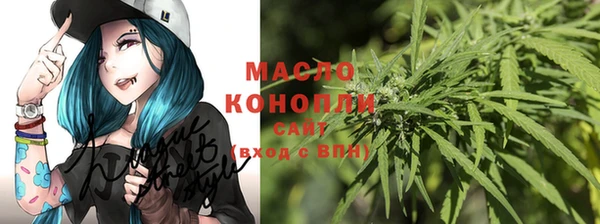 2c-b Заводоуковск